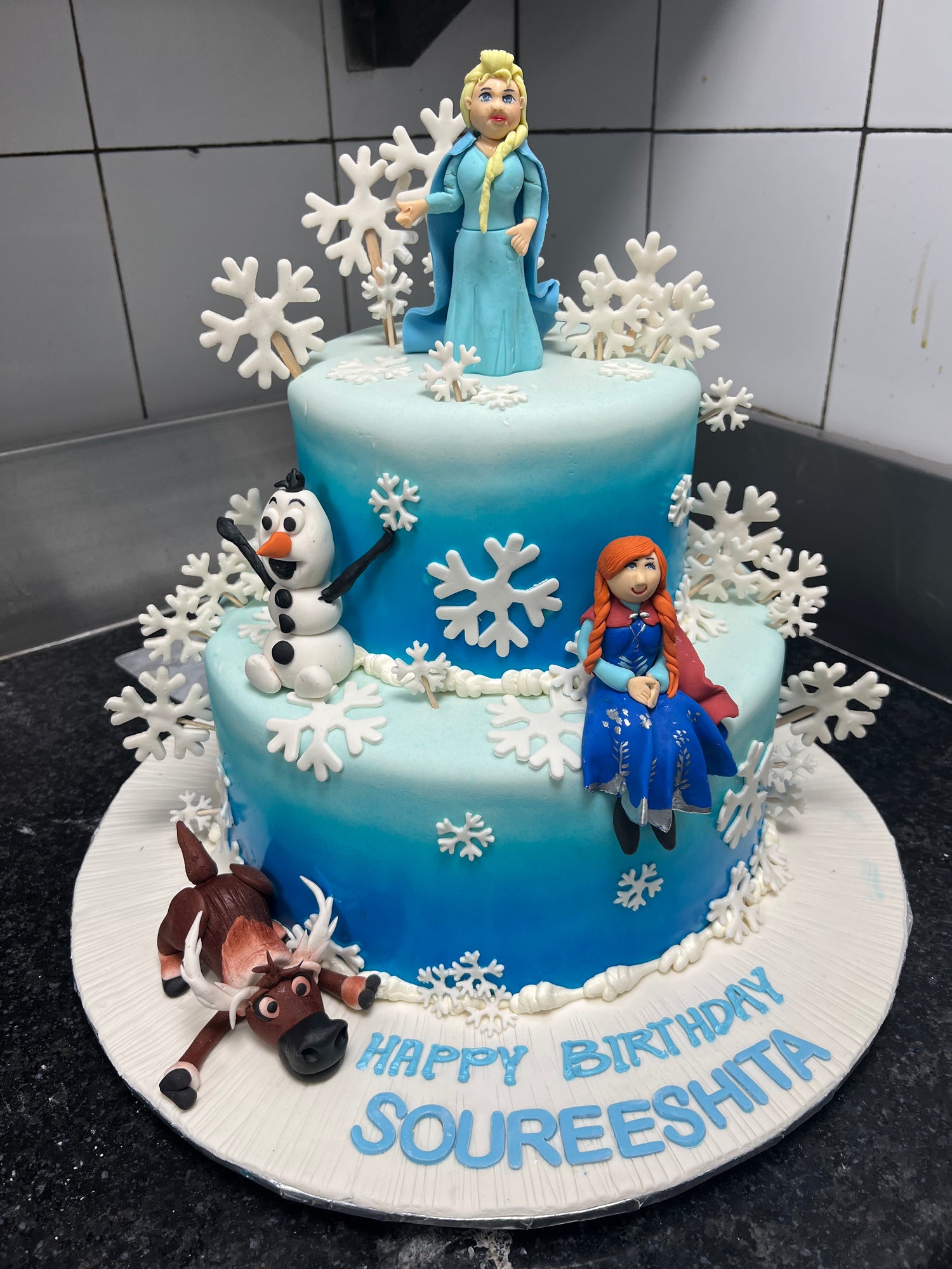 2 tier Frozen Cake OC18