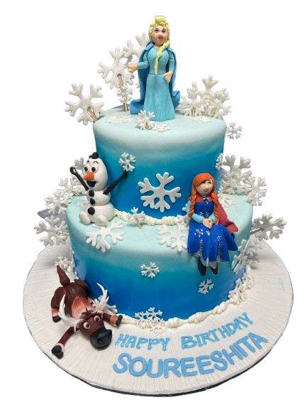 2 tier Frozen Cake OC17