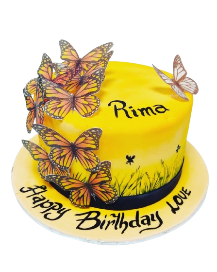 Butterfly cake	OC34